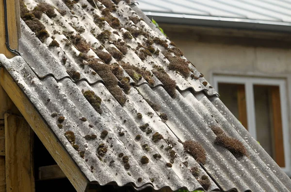 Ancien Toit Ardoise Recouvert Mousse Branches Sèches Lettonie — Photo