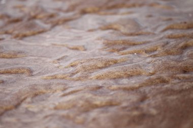 Plajdaki ıslak kumu kapat, Baltık Denizi Latvi