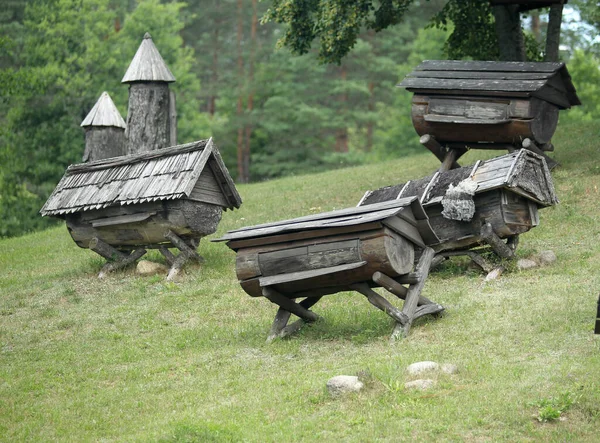 Aukstaitija Ulusal Parkı Ndaki Stripeikiai Köyünde Litvanya Antik Arıcılık Müzesi — Stok fotoğraf
