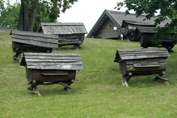 Aukstaitija Ulusal Parkı Ndaki Stripeikiai Köyünde Litvanya Antik Arıcılık Müzesi — Stok fotoğraf