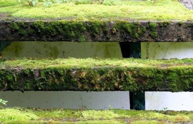 Nida Litvanya 'da çimlerle kaplı eski beton merdivenler.