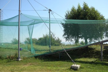 Curonian Lagün 'ünün yanındaki ornitoloji istasyonunda büyük bir kuş kapanı, Ventes ragası. Litvanya