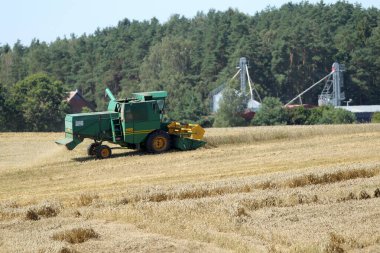 Buğday tarlasında çalışan hasat makinesini birleştirin. Litvanca