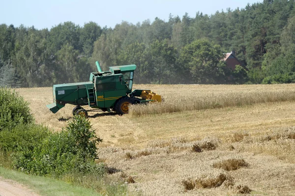 Combine Colheitadeira Trabalhando Campo Trigo Lituano — Fotografia de Stock