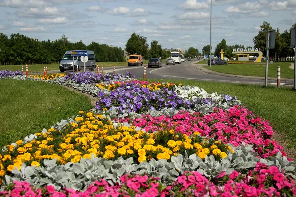 Πόλη Kedainiai Στη Λιθουανία Είναι Διακοσμημένη Πολύχρωμα Λουλούδια — Φωτογραφία Αρχείου