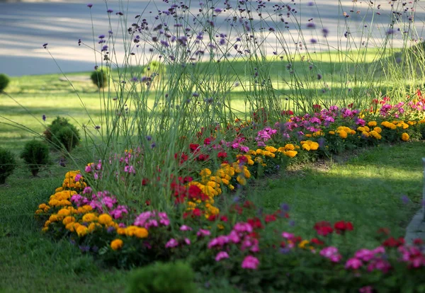 Ciudad Kedainiai Lituania Está Decorada Con Flores Colores — Foto de Stock