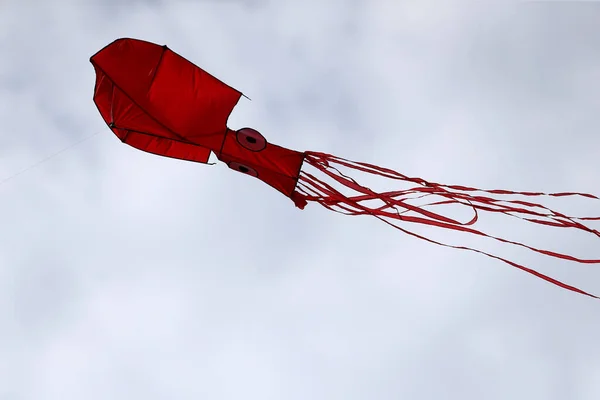在Zapyskis的风筝节上 各种风筝在蓝天中飞翔 — 图库照片