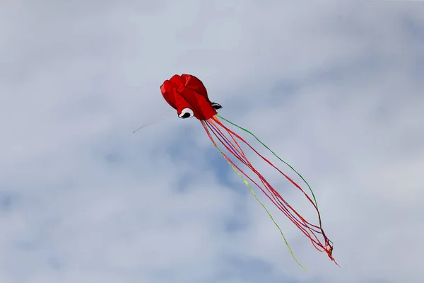 Vários Papagaios Voando Céu Azul Festival Pipa Zapyskis Lituano — Fotografia de Stock