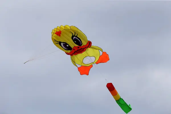 Vários Papagaios Voando Céu Azul Festival Pipa Zapyskis Lituano — Fotografia de Stock