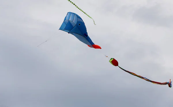 Vários Papagaios Voando Céu Azul Festival Pipa Zapyskis Lituano — Fotografia de Stock