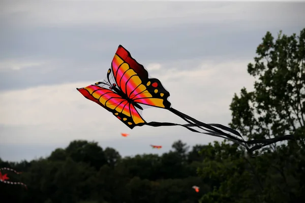 Различные Воздушные Змеи Летящие Голубом Небе Фестивале Воздушных Змеев Запыскис — стоковое фото
