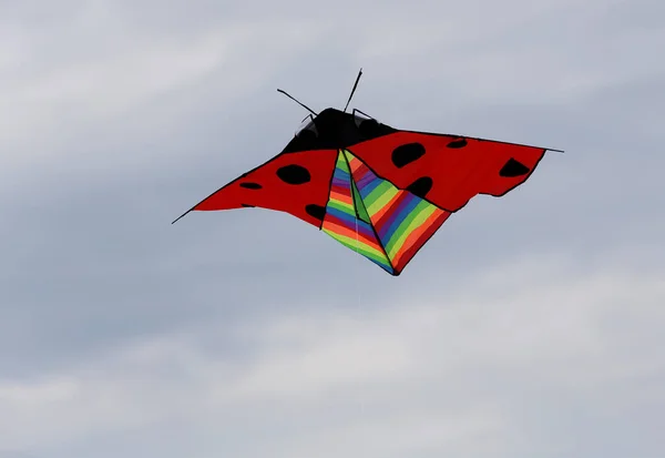 在Zapyskis的风筝节上 各种风筝在蓝天中飞翔 — 图库照片