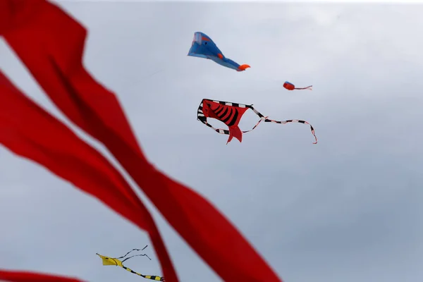 Various Kites Flying Blue Sky Kite Festival Zapyskis Lithuani — Stock Photo, Image