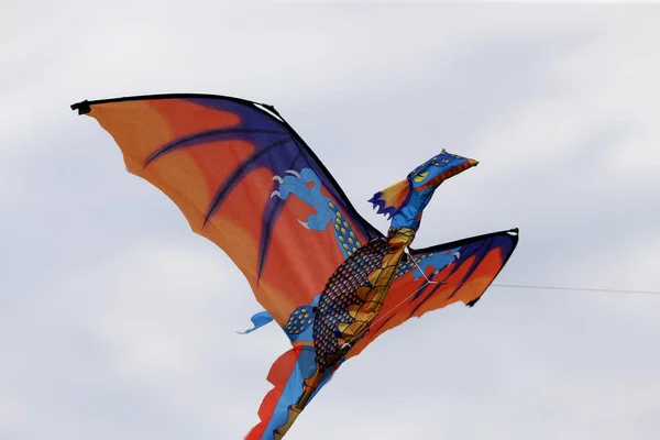 Vários Papagaios Voando Céu Azul Festival Pipa Zapyskis Lituano — Fotografia de Stock