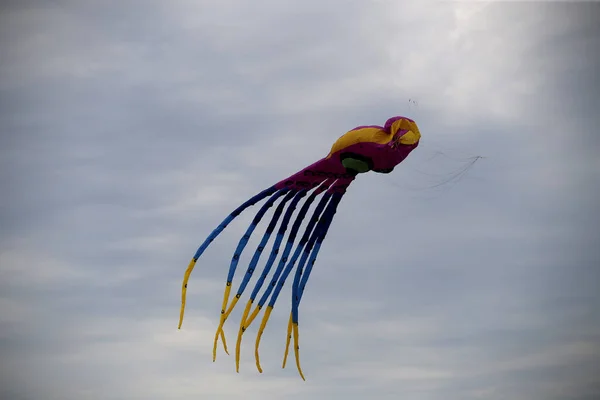 Vários Papagaios Voando Céu Azul Festival Pipa Zapyskis Lituano — Fotografia de Stock