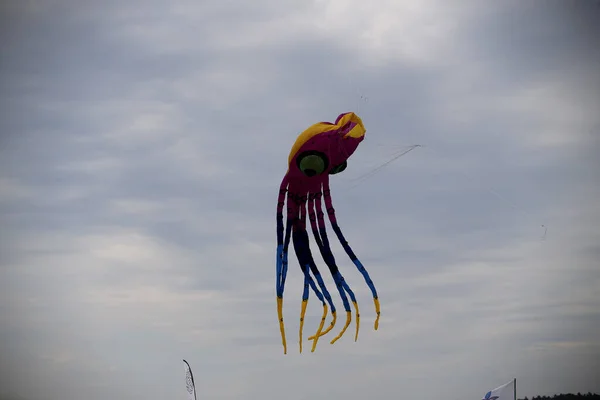 Vários Papagaios Voando Céu Azul Festival Pipa Zapyskis Lituano — Fotografia de Stock