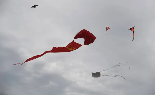 Vários Papagaios Voando Céu Azul Festival Pipa Zapyskis Lituano — Fotografia de Stock