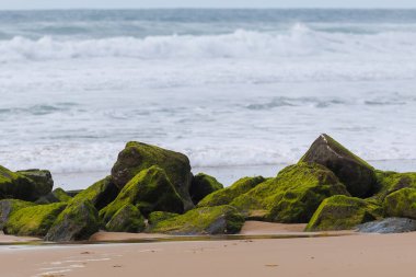 Frances Atlantik kıyısındaki Lacanau 'da bir dalgakıran. Yosun kaplı kaya ve dalgalar kıyı şeridini erozyondan korur, canlı renkler ve dokularla doğal bir deniz manzarası yaratır.