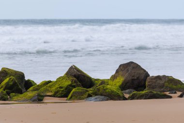 Frances Atlantik kıyısındaki Lacanau 'da bir dalgakıran. Yosun kaplı kaya ve dalgalar kıyı şeridini erozyondan korur, canlı renkler ve dokularla doğal bir deniz manzarası yaratır.