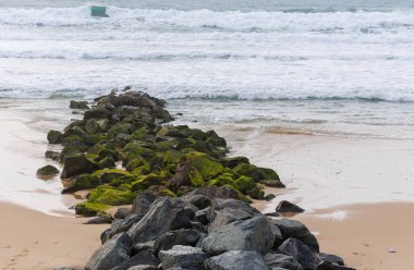 Frances Atlantik kıyısındaki Lacanau 'da bir dalgakıran. Yosun kaplı kaya ve dalgalar kıyı şeridini erozyondan korur, canlı renkler ve dokularla doğal bir deniz manzarası yaratır.
