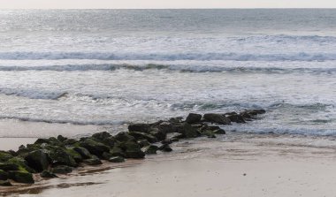 Frances Atlantik kıyısındaki Lacanau 'da bir dalgakıran. Yosun kaplı kaya ve dalgalar kıyı şeridini erozyondan korur, canlı renkler ve dokularla doğal bir deniz manzarası yaratır.