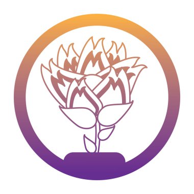 güzel çiçek tasarımı