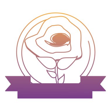 güzel çiçek tasarımı