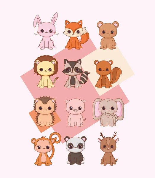 Kawaii animals design — Stock Vector