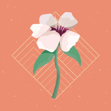 Dekoratif çiçek hassas süs Doğa vektör çizim