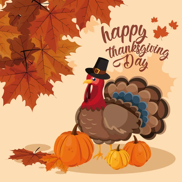Turkey with pumpkins and hat pilgrim of thanksgiving day — Stock Vector