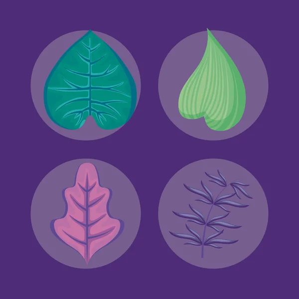 Ensemble d'icônes de feuilles tropicales — Image vectorielle