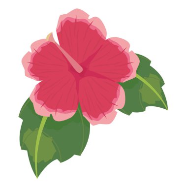 çiçek yaprakları yaprakları beyaz arka plan üzerinde