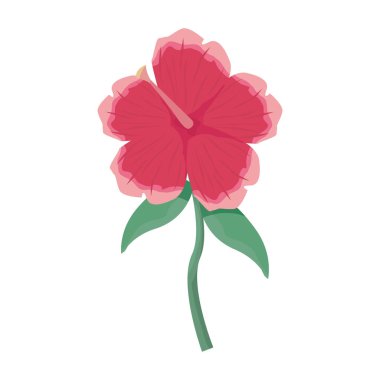 çiçek yaprakları yaprakları beyaz arka plan üzerinde