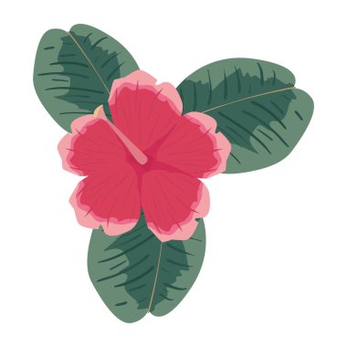 çiçek yaprakları yaprakları beyaz arka plan üzerinde