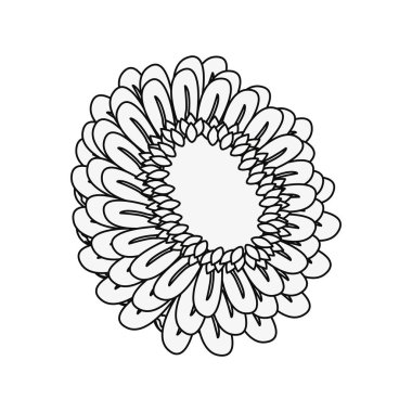 Beyaz arka plan üzerinde çiçek dekorasyon