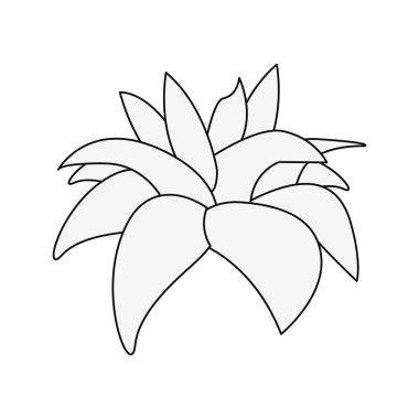 Beyaz arka plan üzerinde çiçek dekorasyon