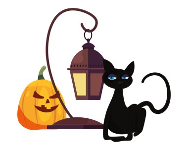 Cadılar Bayramı Balkabağı kedi ve fener partisi