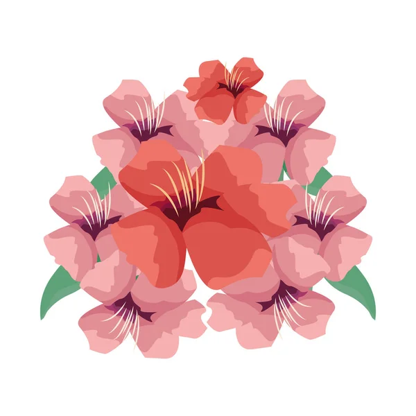 Décoration de bouquet de fleurs sur fond blanc — Image vectorielle