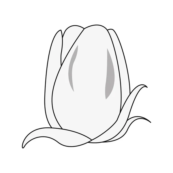 Linia Rysunek Serce Narządów Grafika Wektorowa Tawesit