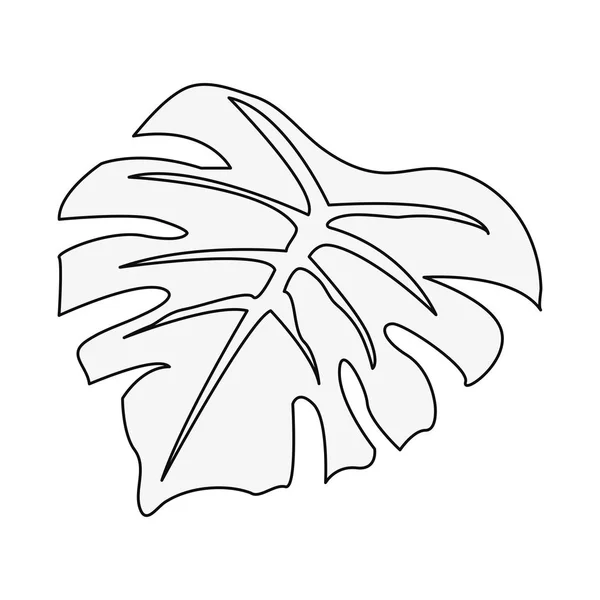 Naturaleza de la hoja sobre fondo blanco — Vector de stock