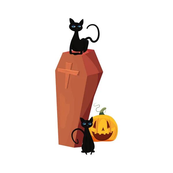 Halloween kočky rakev a dýňový večírek — Stockový vektor
