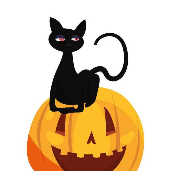 Chat noir halloween et citrouille — Image vectorielle