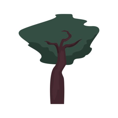 ağaç botanik beyaz arka plan üzerinde doğal