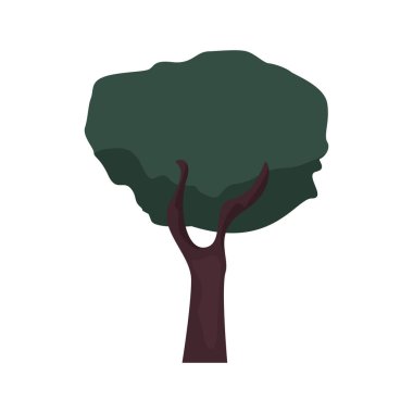 ağaç botanik beyaz arka plan üzerinde doğal