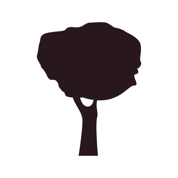 Silueta árbol botánico sobre fondo blanco — Vector de stock