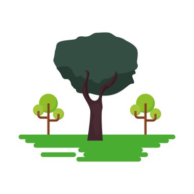 ağaçlar beyaz arka plan üzerinde doğal çim