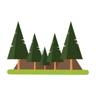 ağaçlar orman botanik panorama