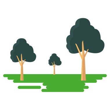 ağaçlar orman botanik panorama