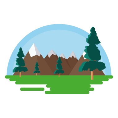 ağaçlar orman botanik panorama