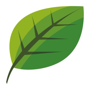 Yaprak simgesi resmi